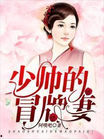 冒牌少帅,乱世中的传奇人生